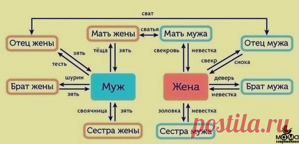 Как не запутаться в родственниках 

Сохраните, иначе никогда не запомните