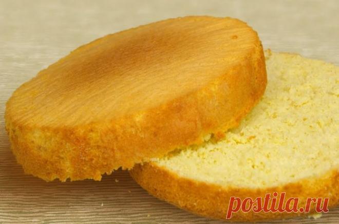 Бисквит для тортов, который всегда поднимается и никогда не опадает: идеальные пропорции для форм разного диаметра