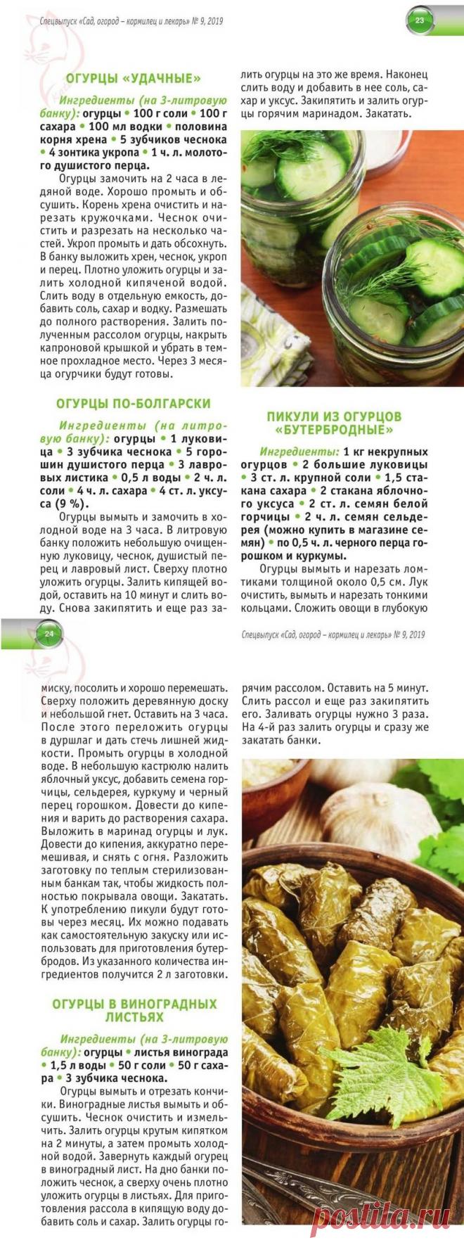 Огурцы "Удачные". Огурцы по-болгарски. Пикули из огурцов "Бутербродные". Огурцы в виноградных листьях