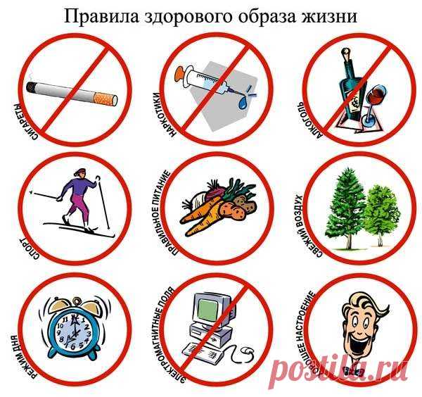 Картинки про ЗОЖ (42 фото) ⭐ Забавник