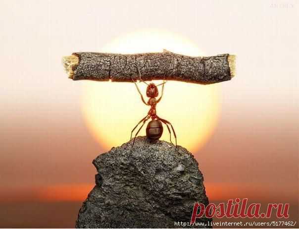 Самопознание,отношения,успешность | Записи в рубрике Самопознание,отношения,успешность | Дневник РИМИДАЛ