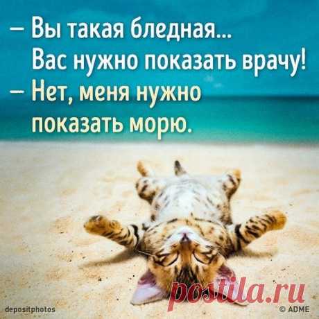 Ученые доказали, что море делает нас счастливыми: goo.gl/LPpqNH