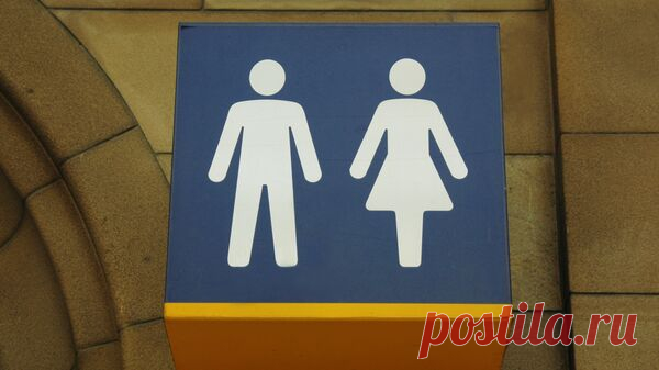 В Подмосковье запретили трансгендерам становиться опекунами и попечителями