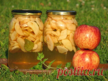Рецепты яблочных наливок. Пей вкусно, живи… жди долго!