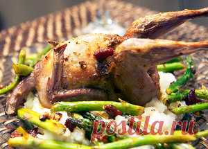 Как приготовить мясо перепелки в духовке: быстро и вкусно!