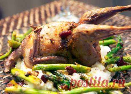 Как приготовить мясо перепелки в духовке: быстро и вкусно!