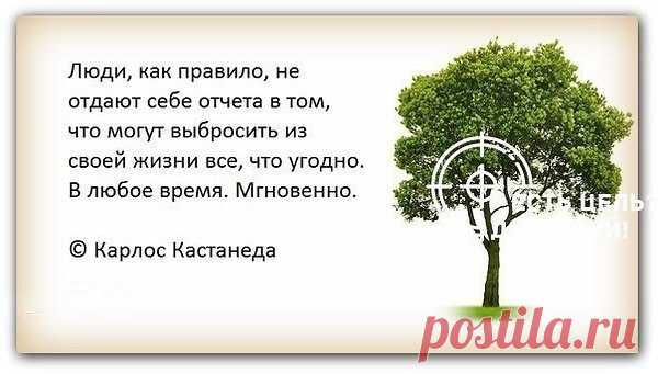 Интересные новости