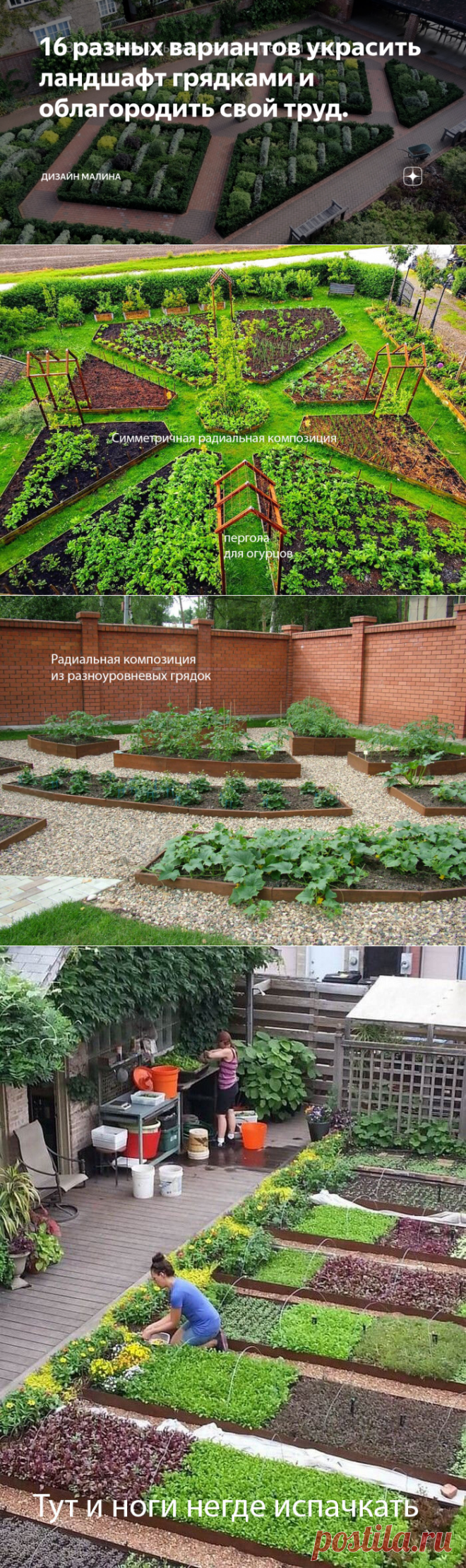 16 разных вариантов украсить ландшафт грядками и облагородить свой труд. | Дизайн Малина | Яндекс Дзен
