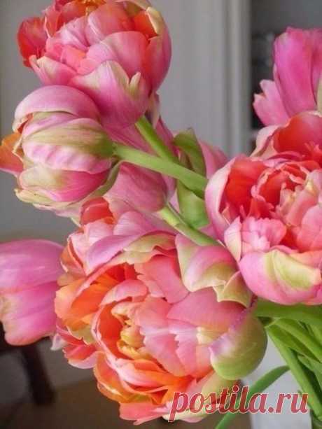 Поздравляем с Днём рождения всех, кто родился — 27 марта!😘😘😘