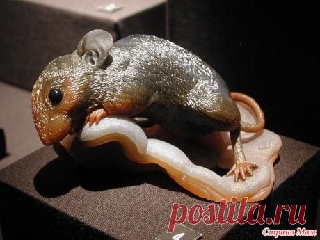 Живое из камня. - Кладовая инета - Страна Мам