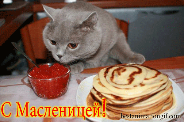 с масленицей (1).gif