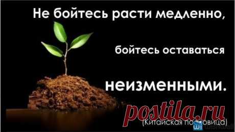 МЕНЯЙТЕСЬ,РАЗВИВАЙТЕСЬ,ДЕЙСТВУЙТЕ