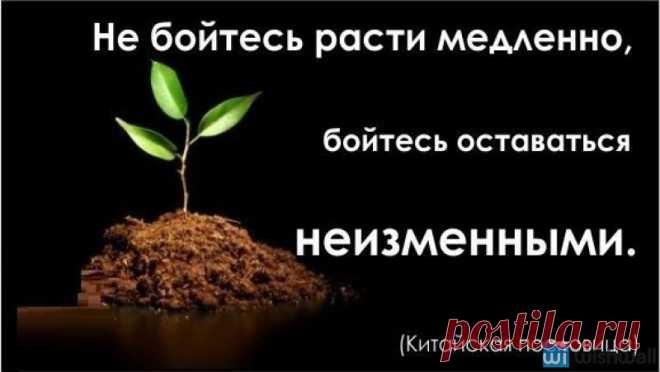 МЕНЯЙТЕСЬ,РАЗВИВАЙТЕСЬ,ДЕЙСТВУЙТЕ