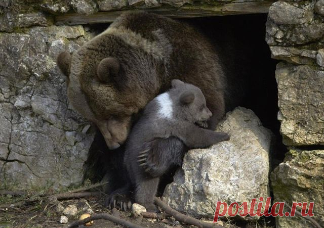 БЕСПЛАТНЫЕ МЕРЦАЮЩИЕ ОТКРЫТКИ И ПЛЕЙКАСТЫ
Татьяна Рахова (Пустовая)