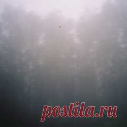 Federica Deiana - Fragments (EP) (2025) 320kbps / FLAC