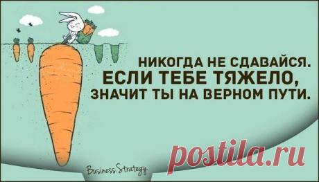 Когда мне тяжело, я всегда напоминаю себе о том, что если я сдамся – лучше не станет.
