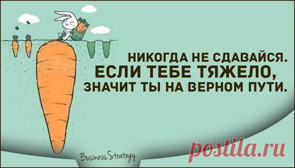 Когда мне тяжело, я всегда напоминаю себе о том, что если я сдамся – лучше не станет.