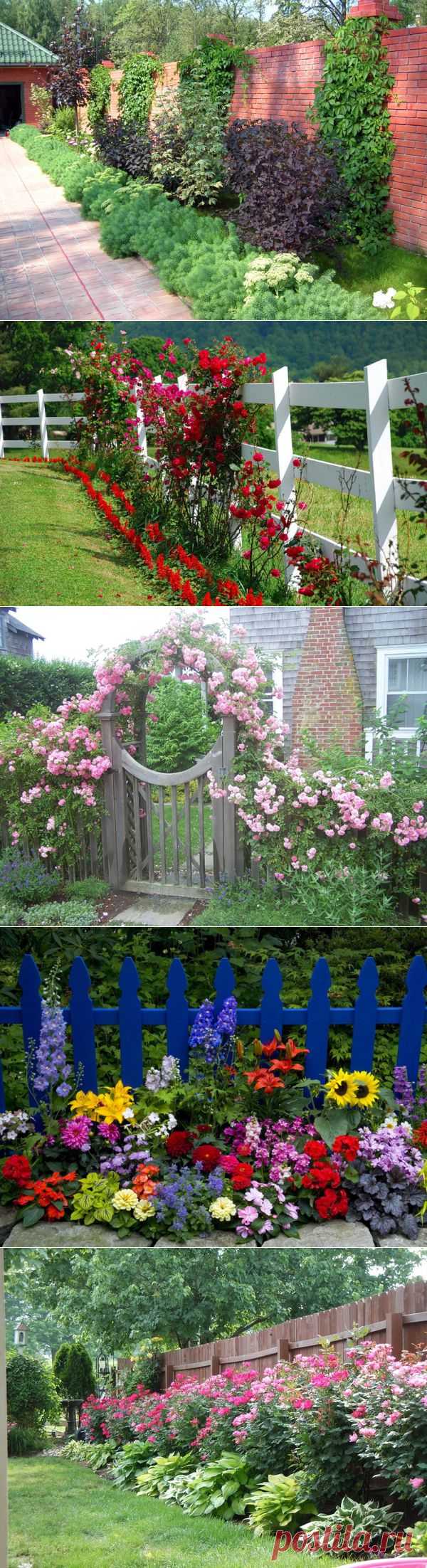 Цветы вдоль ограды участка - 6 соток