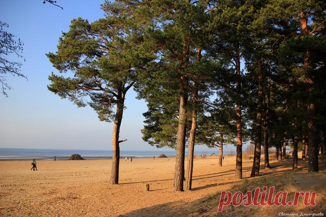 Сестрорецк.