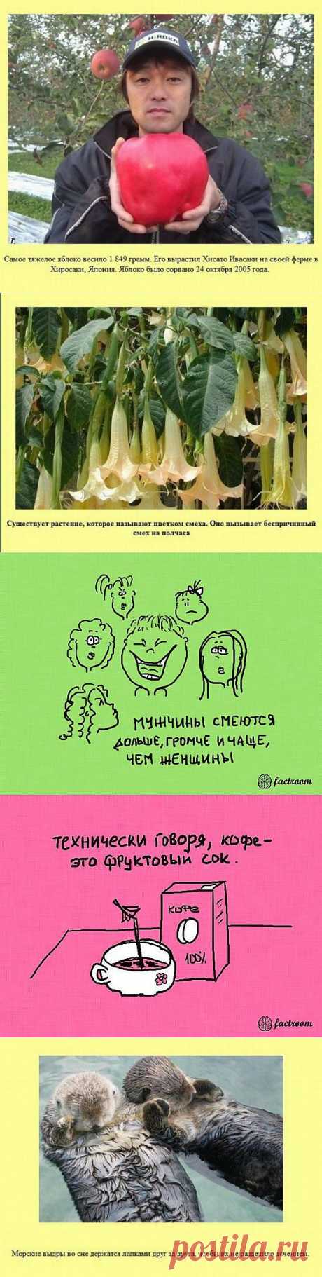 Удивительные факты - 13 Сентября 2013 - оксюморон