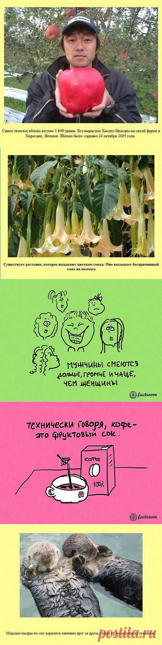 Удивительные факты - 13 Сентября 2013 - оксюморон