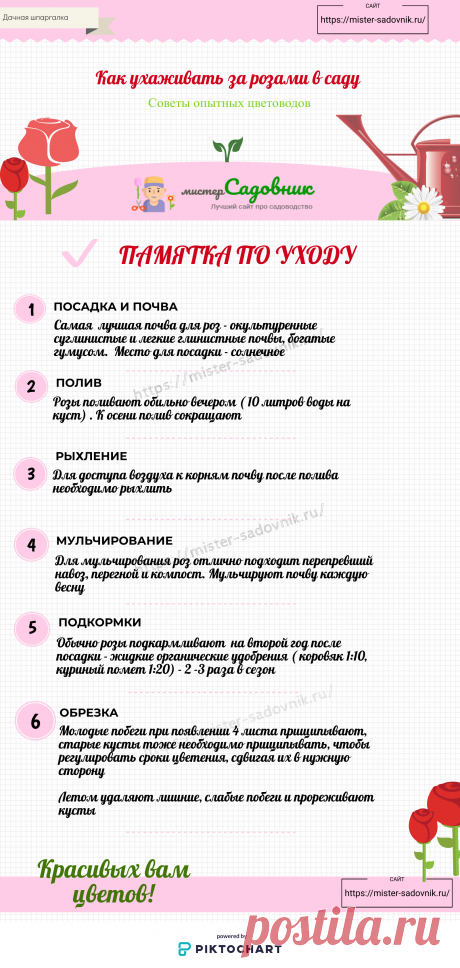 Как ухаживать за розами по лунному календарю в  2020 году - таблица