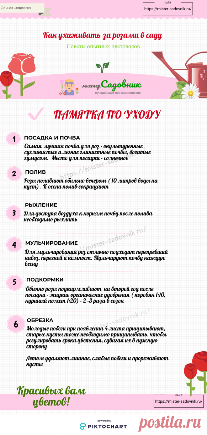 Как ухаживать за розами по лунному календарю в  2020 году - таблица