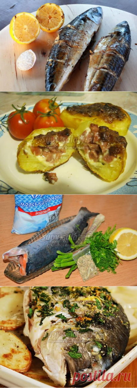Запеченная рыба. Лучшие рецепты