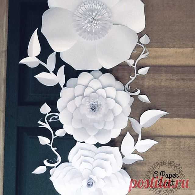 Pretty paper flower backdrop. ❤️