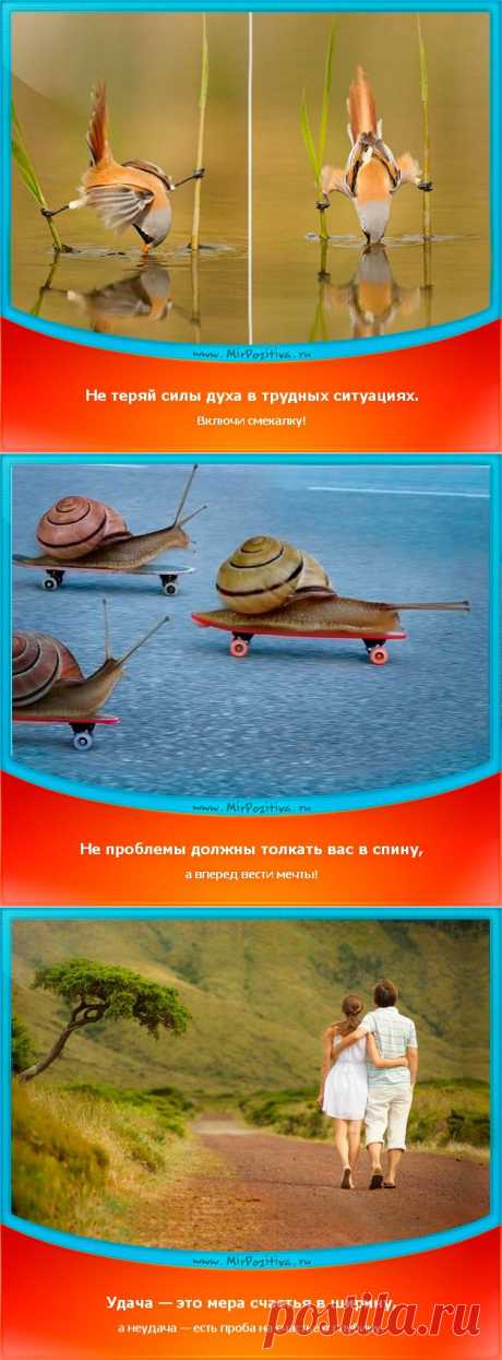 Позитивчики Недели (смотреть фото)