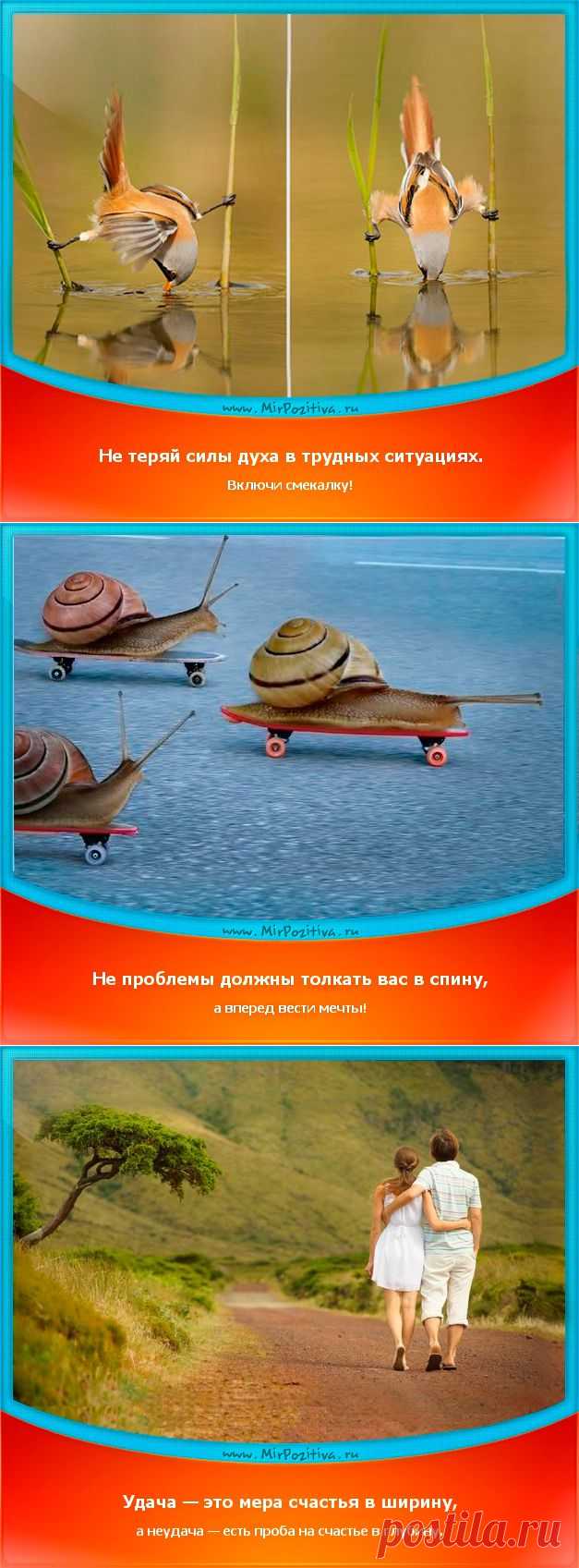 Позитивчики Недели (смотреть фото)