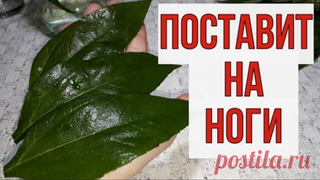 Поднимает лежачие СУСТАВЫ, чистая ПЕЧЕНЬ, диабета как НЕ бывало