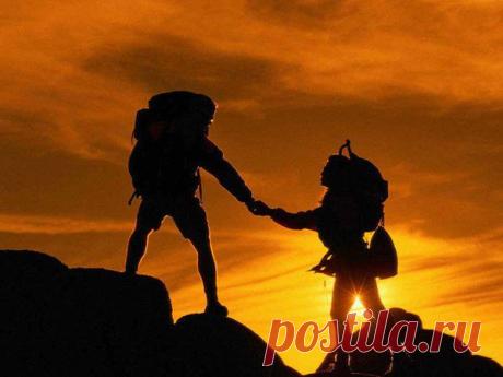 Обзор программы «Бродяга» или как повысить поведенческие факторы сайта. | Отзывы и полезная информация &quot;Кнопкастарта&quot;