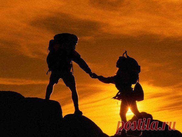 Обзор программы «Бродяга» или как повысить поведенческие факторы сайта. | Отзывы и полезная информация "Кнопкастарта"