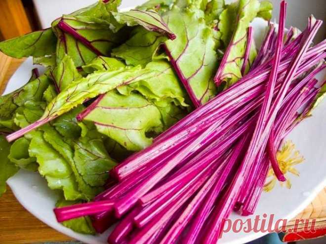ПОЛЕЗНАЯ и ВКУСНАЯ БОТВА! ЗА ЧТО НАШИ ПРЕДКИ ЦЕНИЛИ БОТВУ?
