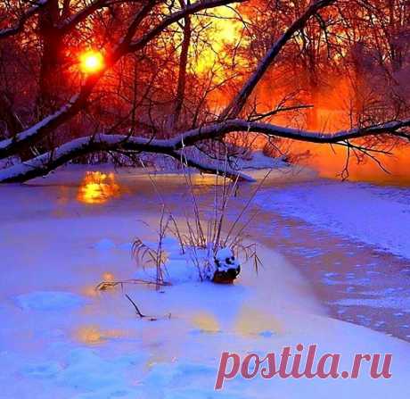 b-26441.jpg (960×933)