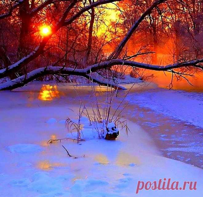 b-26441.jpg (960×933)