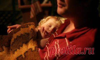 Крейсер Аврора (Дикая Собака Динго) / Стихи.ру