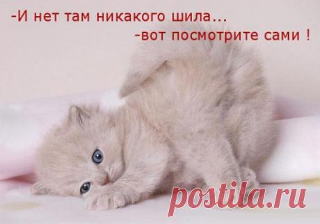 Лилия Советкина | ВКонтакте