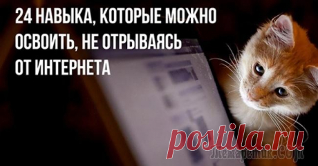 24 навыка, которые можно освоить, не отрываясь от интернета