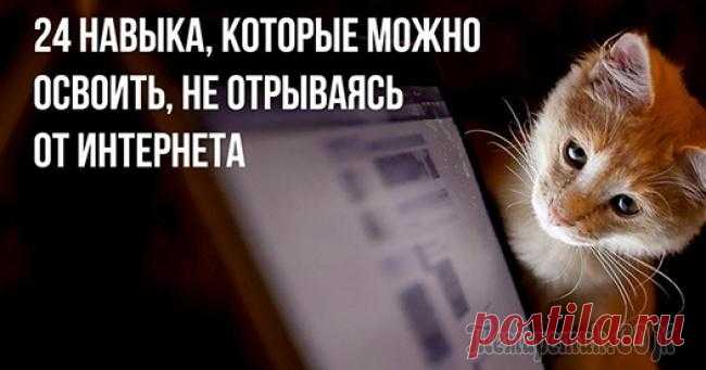24 навыка, которые можно освоить, не отрываясь от интернета