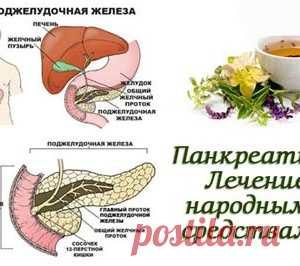 Лечение панкреатита народными средствами