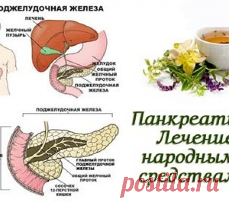 Лечение панкреатита народными средствами