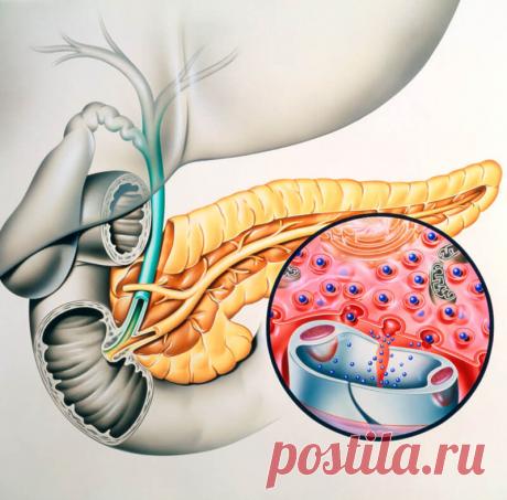 Панкреатит: упражнения для лечения и предупреждения Дыхательная гимнастика — это оздоровительный метод, эффективный при самых различных заболеваниях. Ее можно применять и для предупреждения панкреатита.
Упражнения можно выполнять в любом положении.

Вн…