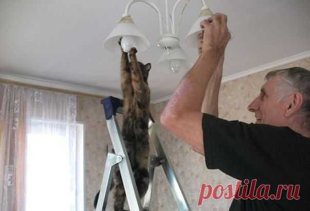 Больше, чем просто фотография