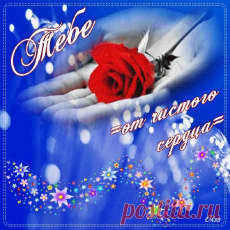 0_67824_5871fc0b_XL (800×800)
