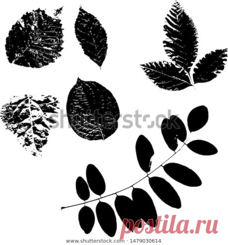 Leaves from the trees. Stock Vector Illustration.