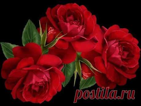 Видео подарок другу - Madam_Irene... Цветочный микс на черном фоне..