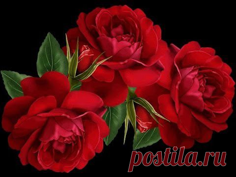 Видео подарок другу - Madam_Irene... Цветочный микс на черном фоне..