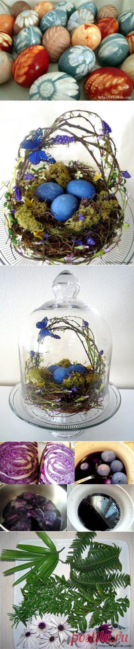 Используем природные натуральные красители для пасхальных яиц | Самоцветик